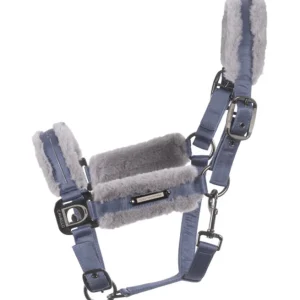 Cavallo Jina